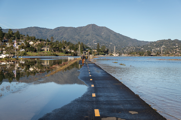 Bothin Marsh path during 2024 king tide