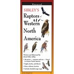Sibley's Raptors of Western North America