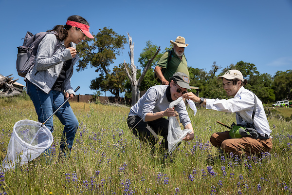 CA Bumble Bee Atlas Training by Kelly Sullivan