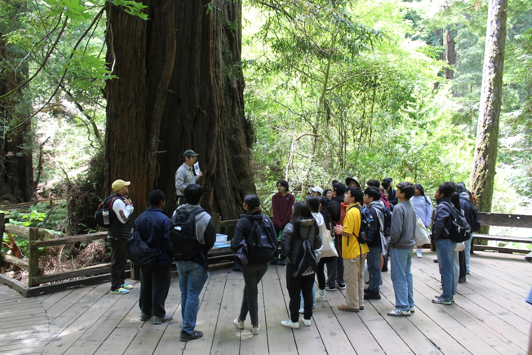 Youth participants learn about the ecology of Muir Woods