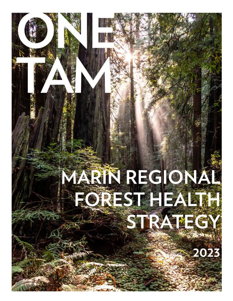 Cover of the 2023 Marin Regional Forest Health Strategy