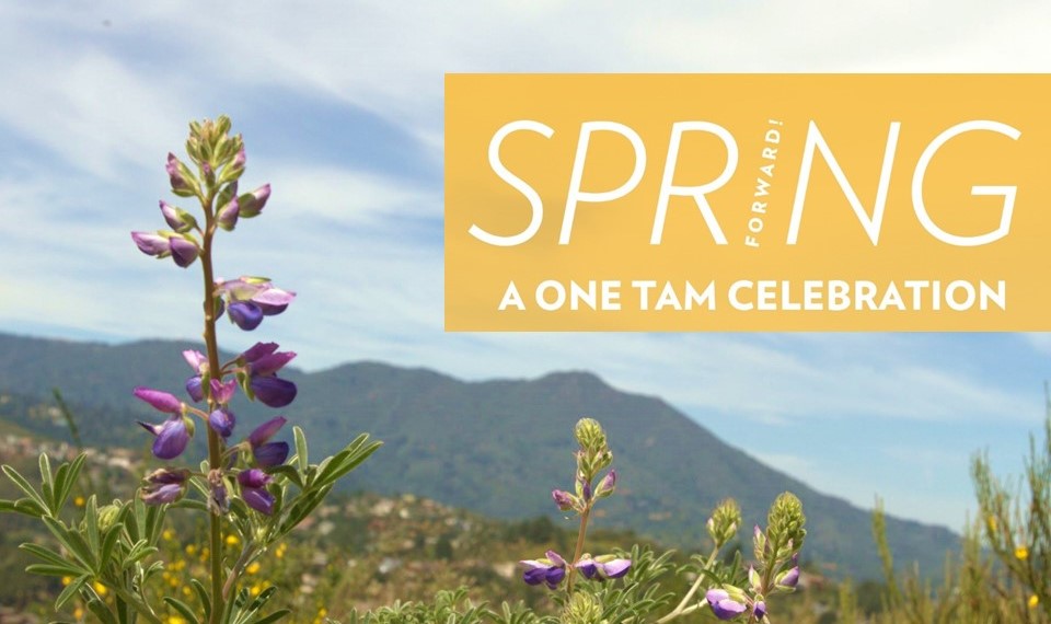 Spring Forward with One Tam